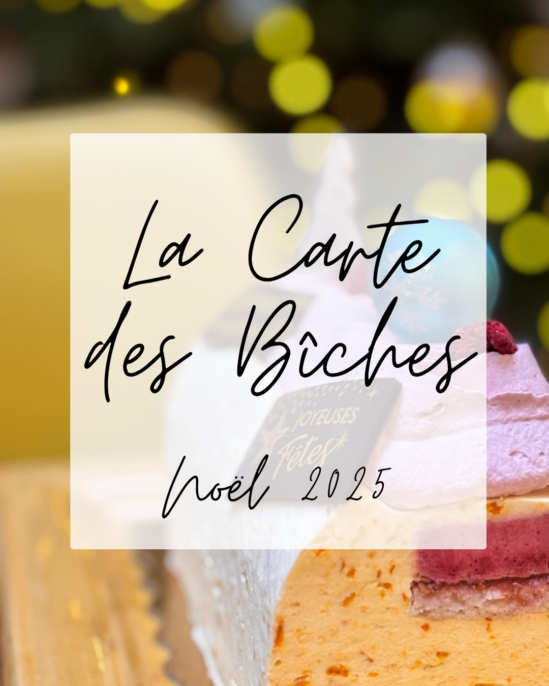 Bûches et Gâteaux de Noel 2025