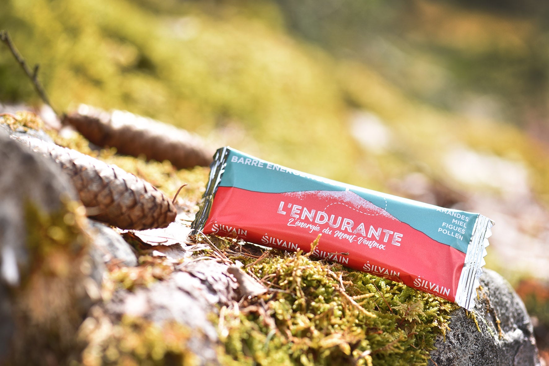 L'ENDURANTE : deux saveurs