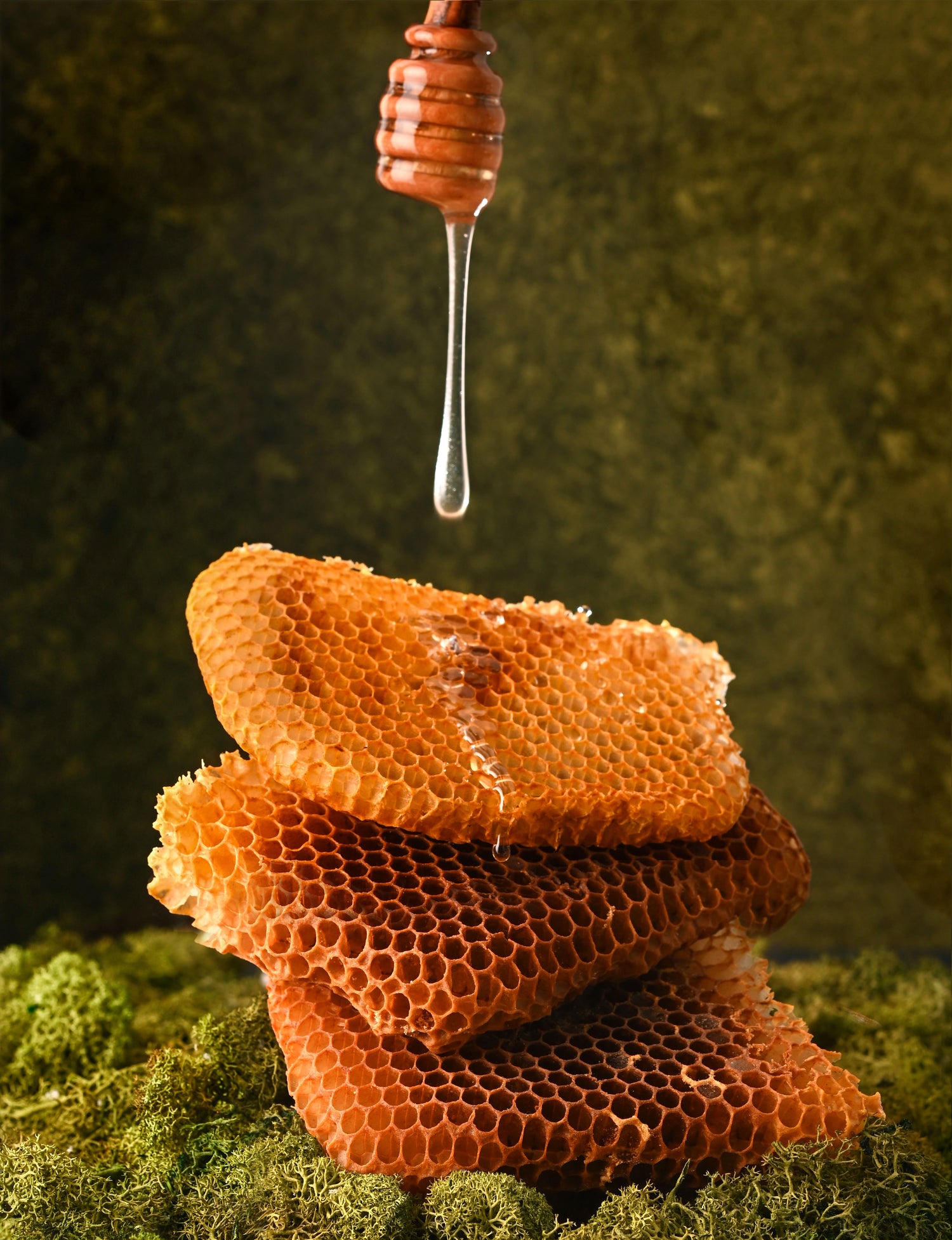 Miel de châtaignier 500g