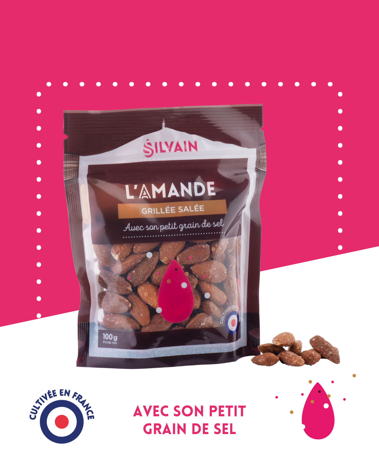 Amandes grillées délicatement salées dans un bol, prêtes à être dégustées.