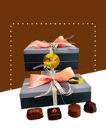 Ballotin contenant un assortiment de chocolats noirs et au lait variés de la marque SCHAAL.