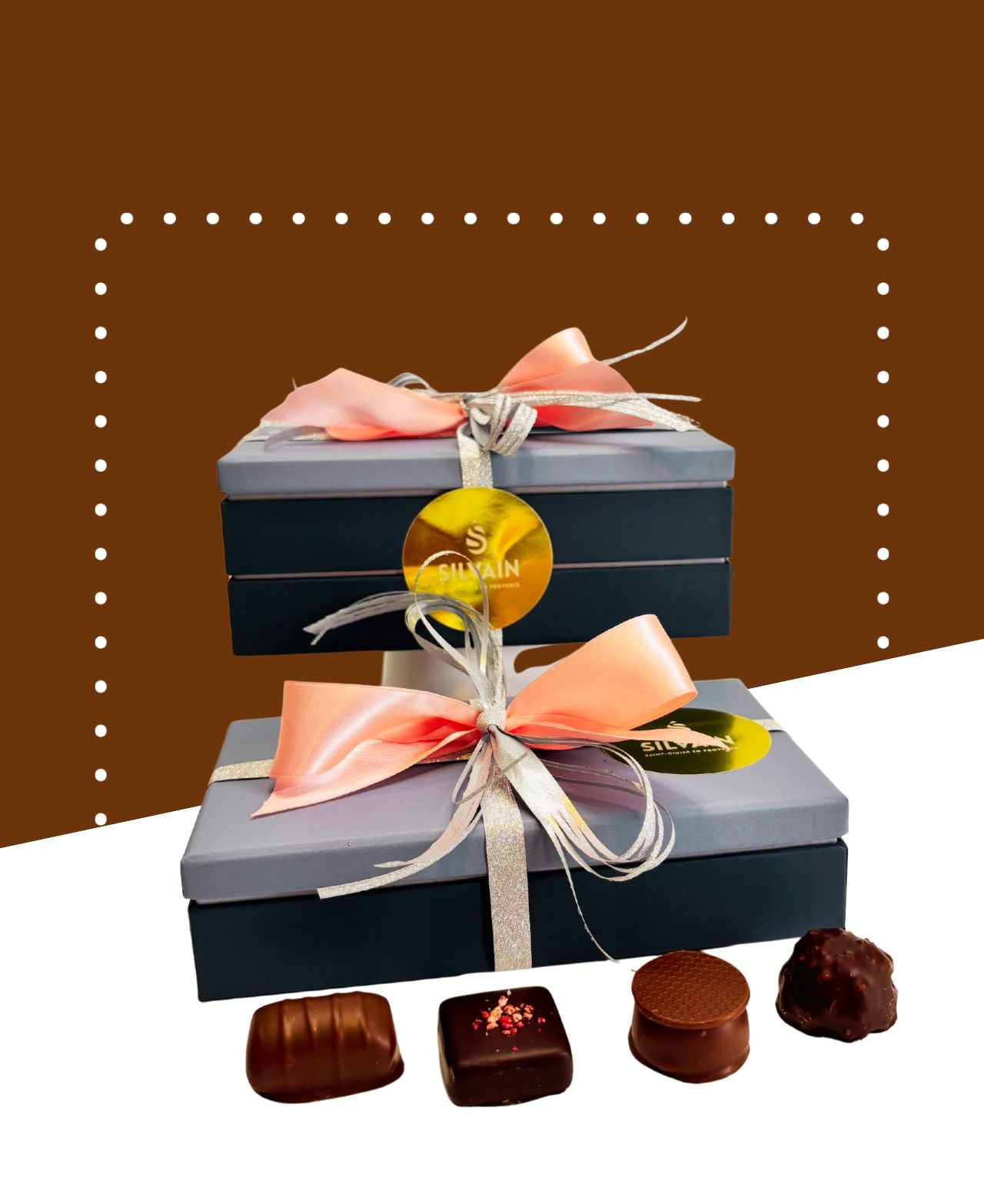 Ballotin contenant un assortiment de chocolats noirs et au lait variés de la marque SCHAAL.