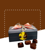 Assorted dark and milk chocolates in a decorative box by SCHAAL.