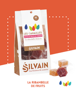 Assorted fruit pastes in various colors, made from local Provençal fruit pulp.