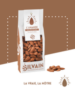 Amandes natures en vrac, de couleur beige clair, avec une texture lisse et croquante.
